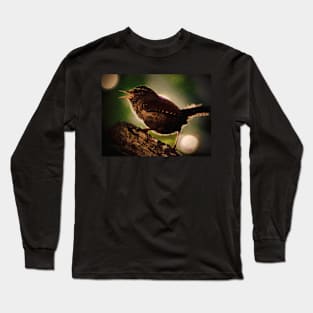 WREN IN THE TWILIGHT DO AS THE ROMANS DO Long Sleeve T-Shirt